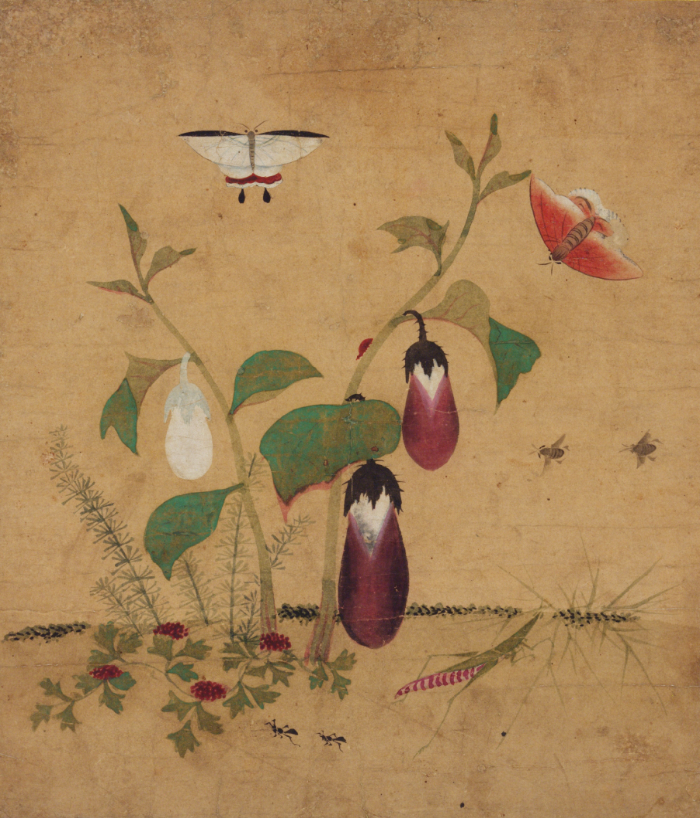 Shin Saimdang, Insects and Plants (Cho-chung-do), Joseon_period_first_half_16th_century, ink_and_color_on_paper, 32.2x28.5cm — Collection of the National Museum of Korea, stage_1_original_input, structural_source_for:SSR2016
