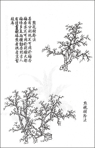 왕개 외 Wang Gai and others 王槩等 / 개자원화보 수보편 / 목판 인쇄본 