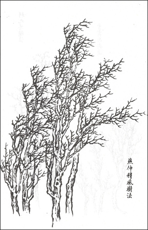 왕개 외 Wang Gai and others 王槩等 / 개자원화보 수보편 / 목판 인쇄본 