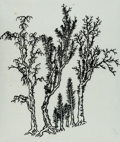 장병언 jang byeong eun 張炳彥 / 방倣개자원화보 수보편 / Ink on paper / 크기 미상 / 2006