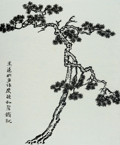 장병언 jang byeong eun 張炳彥 / 방倣개자원화보 수보편 / Ink on paper / 크기 미상 / 2006