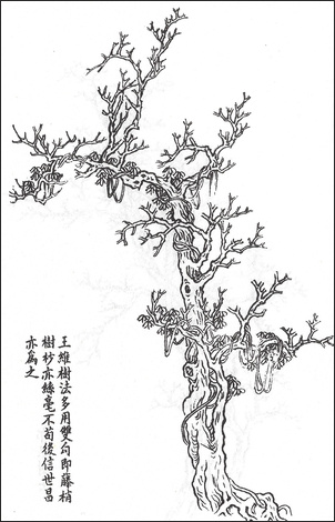 왕개 외 Wang Gai and others 王槩等 / 개자원화보 수보편 / 목판 인쇄본 