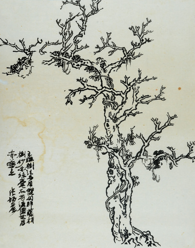 장병언 jang byeong eun 張炳彥 / 방倣개자원화보 수보편 / Ink on paper / 크기 미상 / 2006