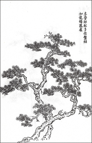 왕개 외 Wang Gai and others 王槩等 / 개자원화보 수보편 / 목판 인쇄본 